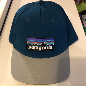 NWOT Patagonia SnapBack hat